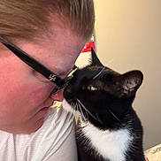 Abbey is registered to the contest to win money with this photo: person, cat, glasses, white_shirt, black_and_white_cat, indoor, close_up, affection, pet, animal, face, whiskers, feline, human, love, nose_touch, cute, domestic_animal, eyewear, friendship