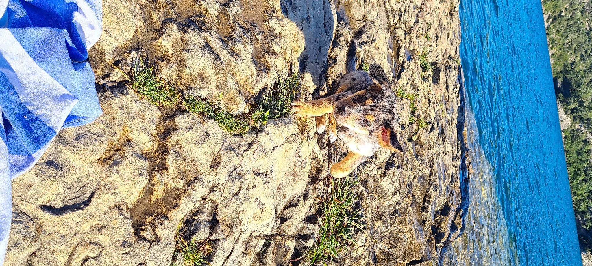 Ichigo a rejoint le concours — aidez-le/la à gagner de superbes lots ! beak, bedrock, fault, formation, geological_phenomenon, grass, klippe, landscape, mountain, outcrop, plant, recreation, rock, soil, terrain, tree, trunk, water, wildlife, wood