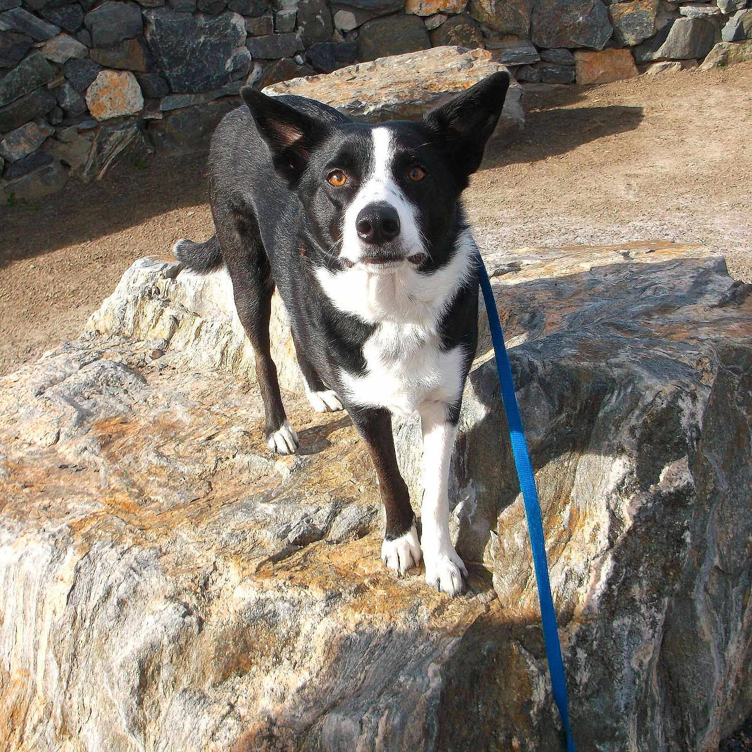 Cassidy is registered to the contest to win money with this photo: