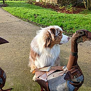 Tao participe au concours pour gagner de l'argent avec cette photo : dog, animal, fluffy, metal_sculpture, bird_sculpture, outdoor, path, grass, greenery, rusty_metal, art, nature, daylight, garden, park, pet, side_view, quiet, peaceful, sculpture