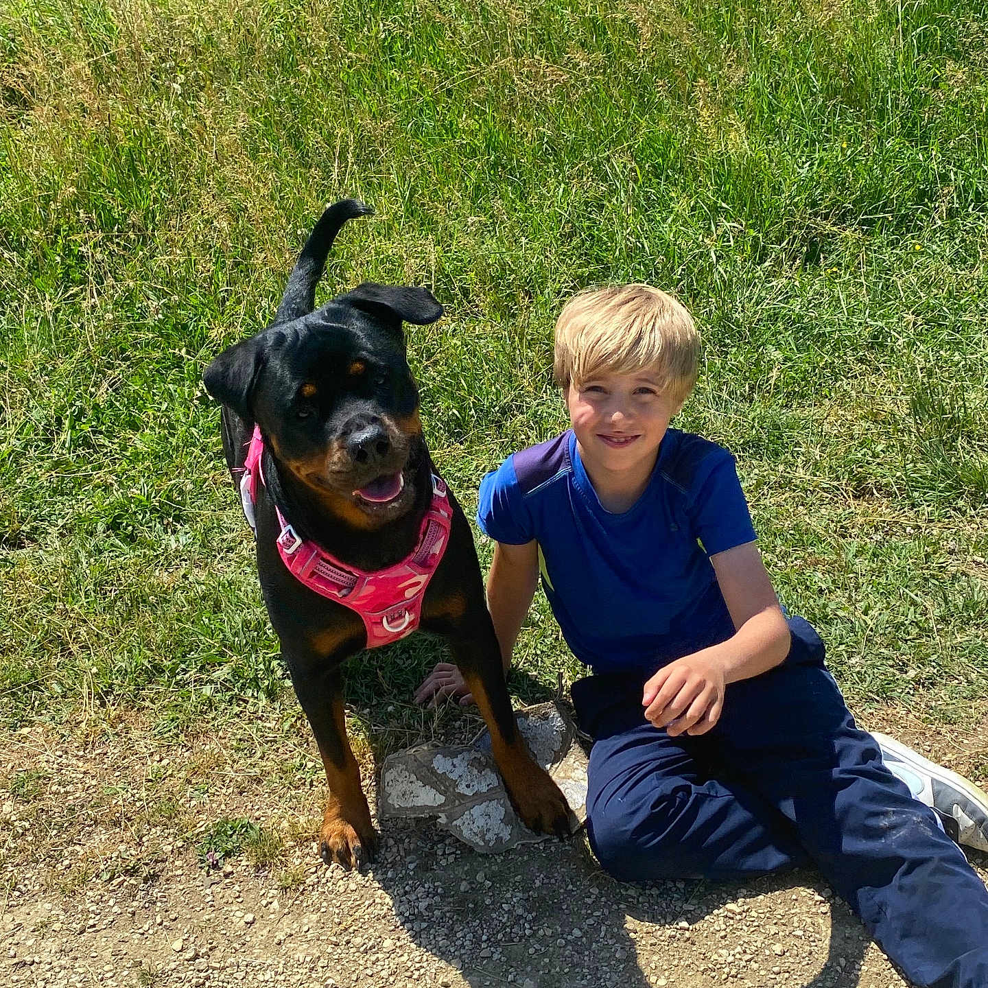 Athena participe au concours pour gagner de l'argent avec cette photo : animal, boy, casual_clothing, child, daylight, dog, friendship, grass, grassland, happy, harness, leisure, nature, outdoor, path, pet, rottweiler, shadow, smiling, sunny