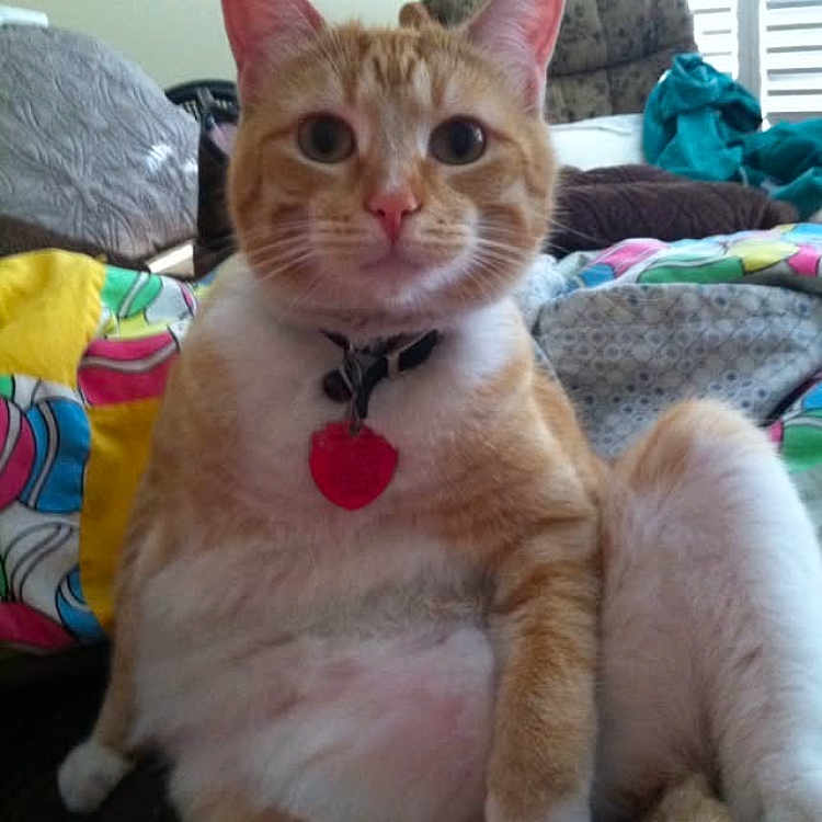 Dexter
