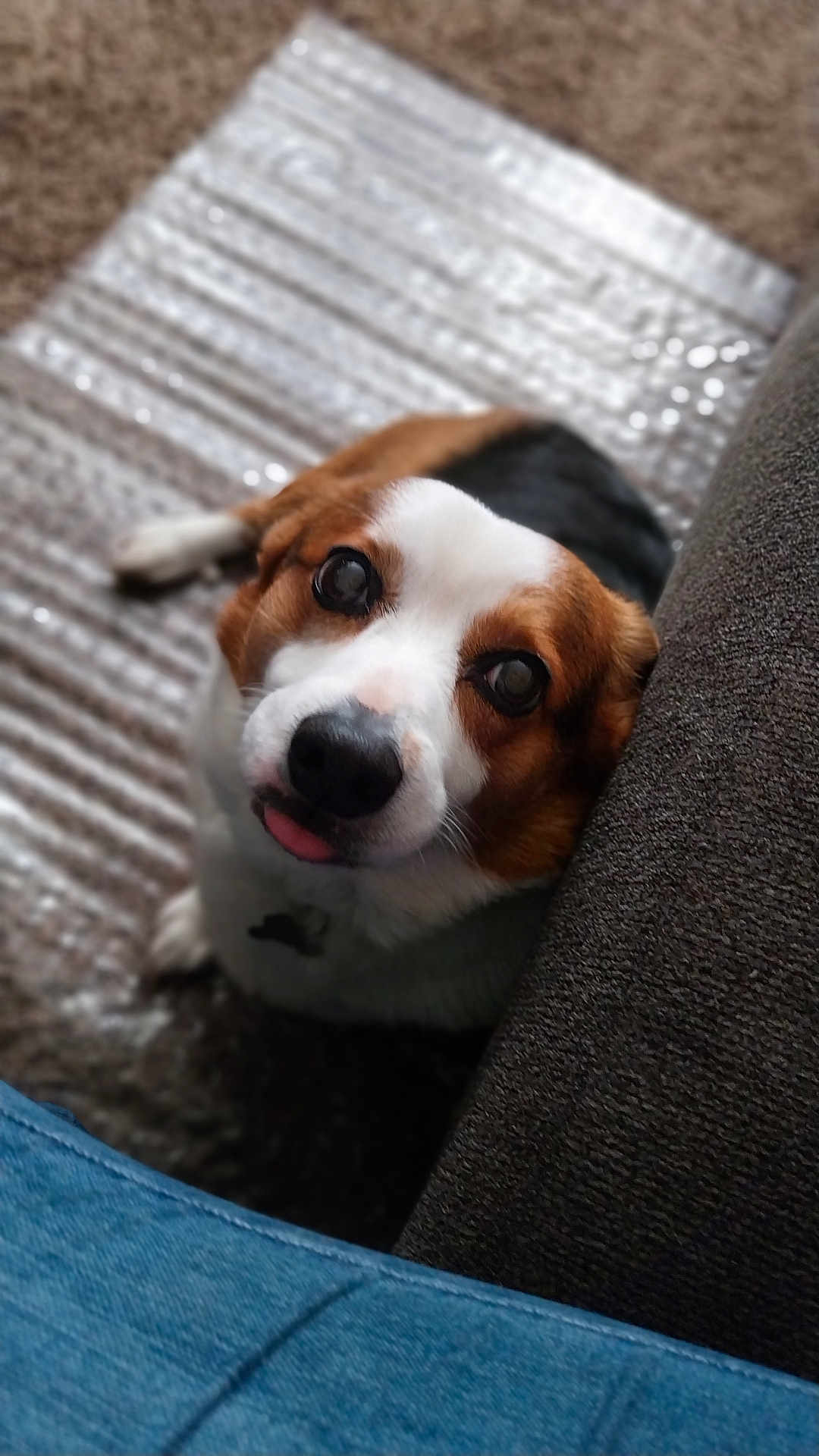 Dexter