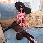 Ruger is registered to the contest to win money with this photo: black_cat, cat, skeleton, pink_skeleton, hat, black_hat, couch, blue_couch, pillow, decorative_pillow, seahorse_pillow, indoor, relaxing, sleeping_cat, furniture, living_room, stretching, animal, pet, cozy