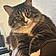 Jelly