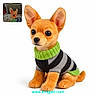Oliver joined the competition — help win amazing prizes! dog, toy, sweater, striped, orange, green, plush, pet, cute, inset_photo, website_watermark, background_white, ears, eyes, nose, sitting, fabric, texture, animal, portrait
