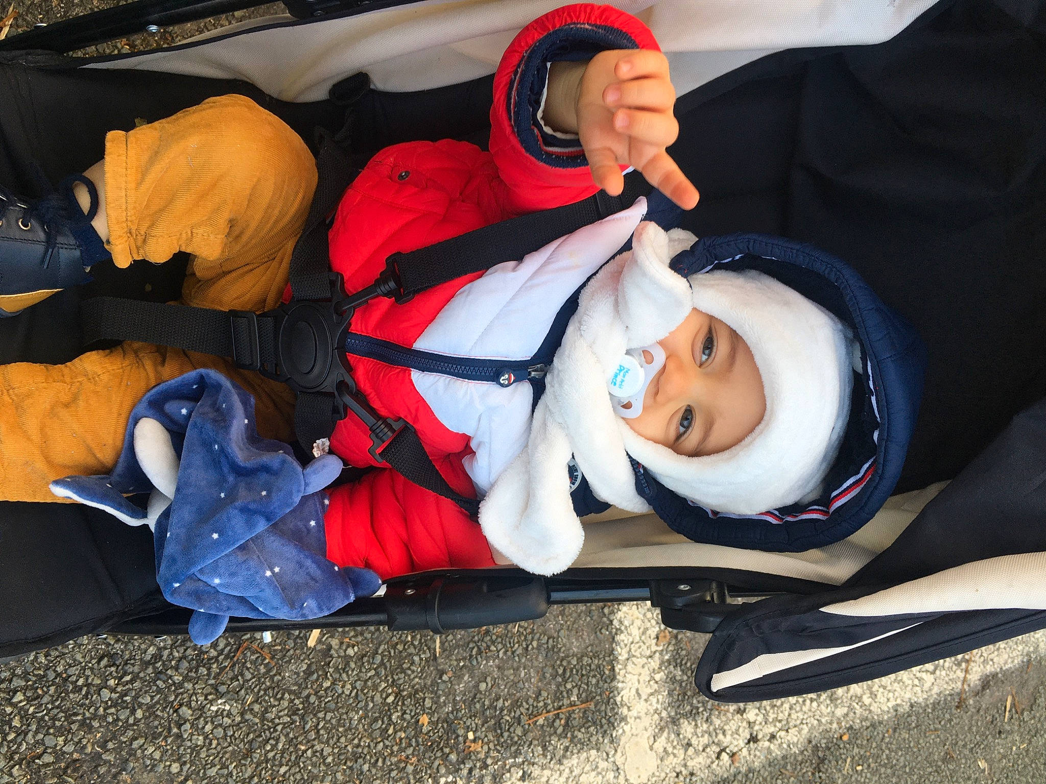 Julien participe au concours pour gagner de l'argent avec cette photo : auto_part, bag, car_seat, carmine, child, comfort, fun, hat, headwear, lap, luggage_and_bags, luxury_vehicle, person, personal_protective_equipment, recreation, sitting, tree