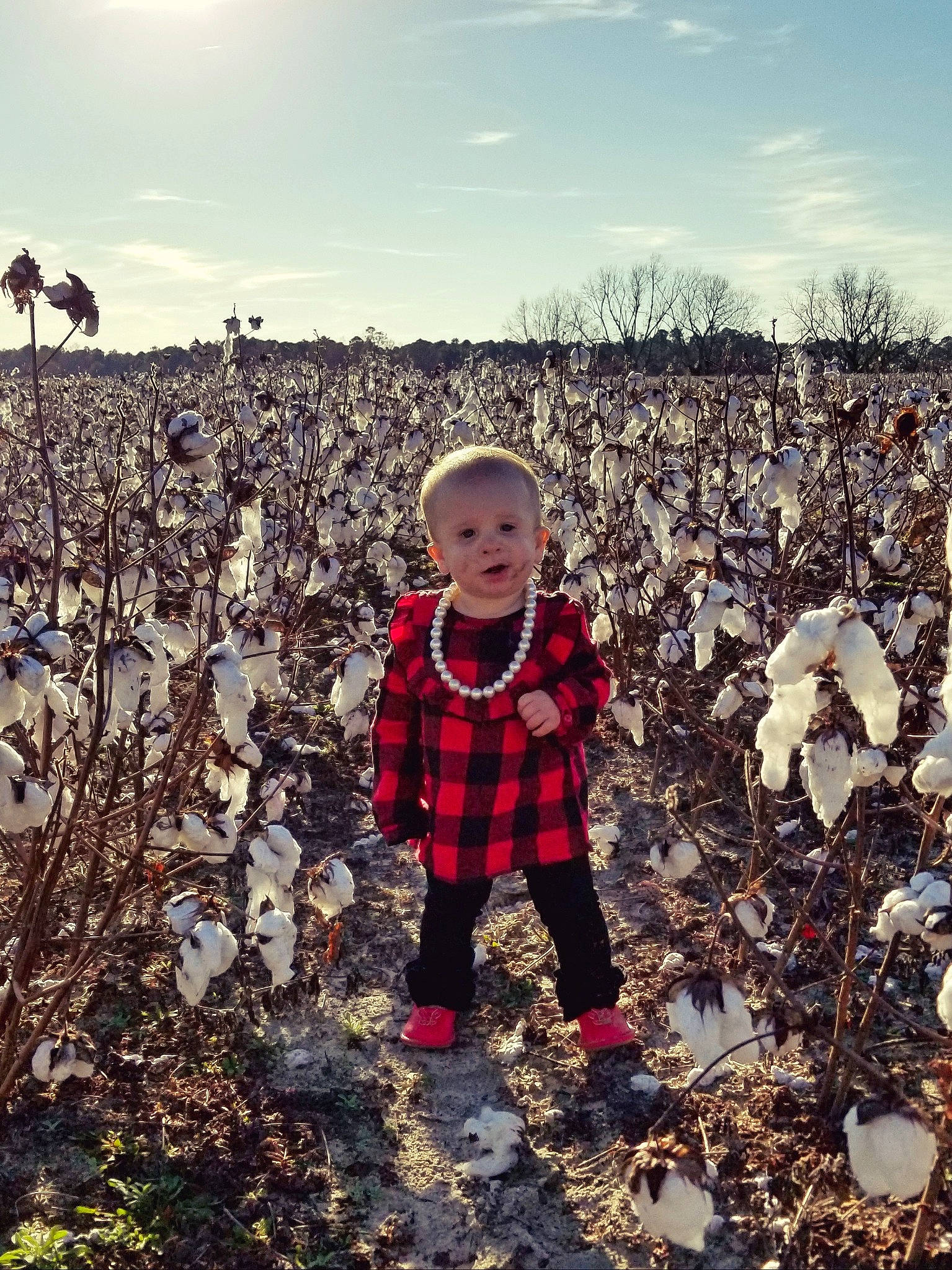 Everley joined the competition — help win amazing prizes! adaptation, autumn, child, cloud, design, leaf, pattern, person, photography, plaid, plant, pumpkin, sky, smile, soil, tartan, toddler, tree
