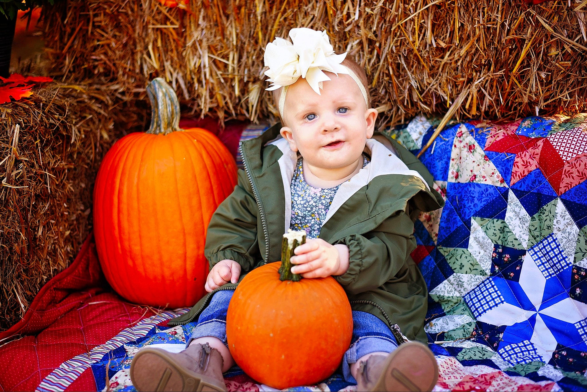 Everley joined the competition — help win amazing prizes! _and_melon_family, _gourd, autumn, calabaza, child, cucumber, cucurbita, food, fruit, gourd, local_food, orange, person, plant, pumpkin, smile, squash, toddler, tradition, trick_or_treat