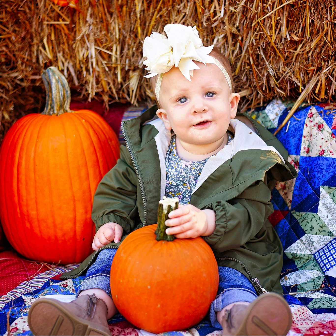 Everley joined the competition — help win amazing prizes! _and_melon_family, _gourd, autumn, calabaza, child, cucumber, cucurbita, food, fruit, gourd, local_food, orange, person, plant, pumpkin, smile, squash, toddler, tradition, trick_or_treat
