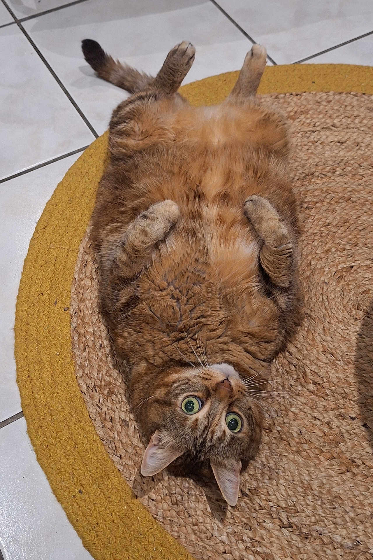 Lilou