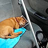 Luna participe au concours pour gagner de l'argent avec cette photo :