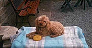 Luna participe au concours pour gagner de l'argent avec cette photo :