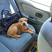 Luna participe au concours pour gagner de l'argent avec cette photo :