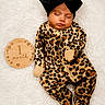 baby, sleeping, infant, onesie, leopard_print, headband, black_bow, wooden_plaque, month_marker, fluffy_rug, cute, newborn, portrait, child, soft_texture, peaceful, lying_down, closeup, indoors, adorable