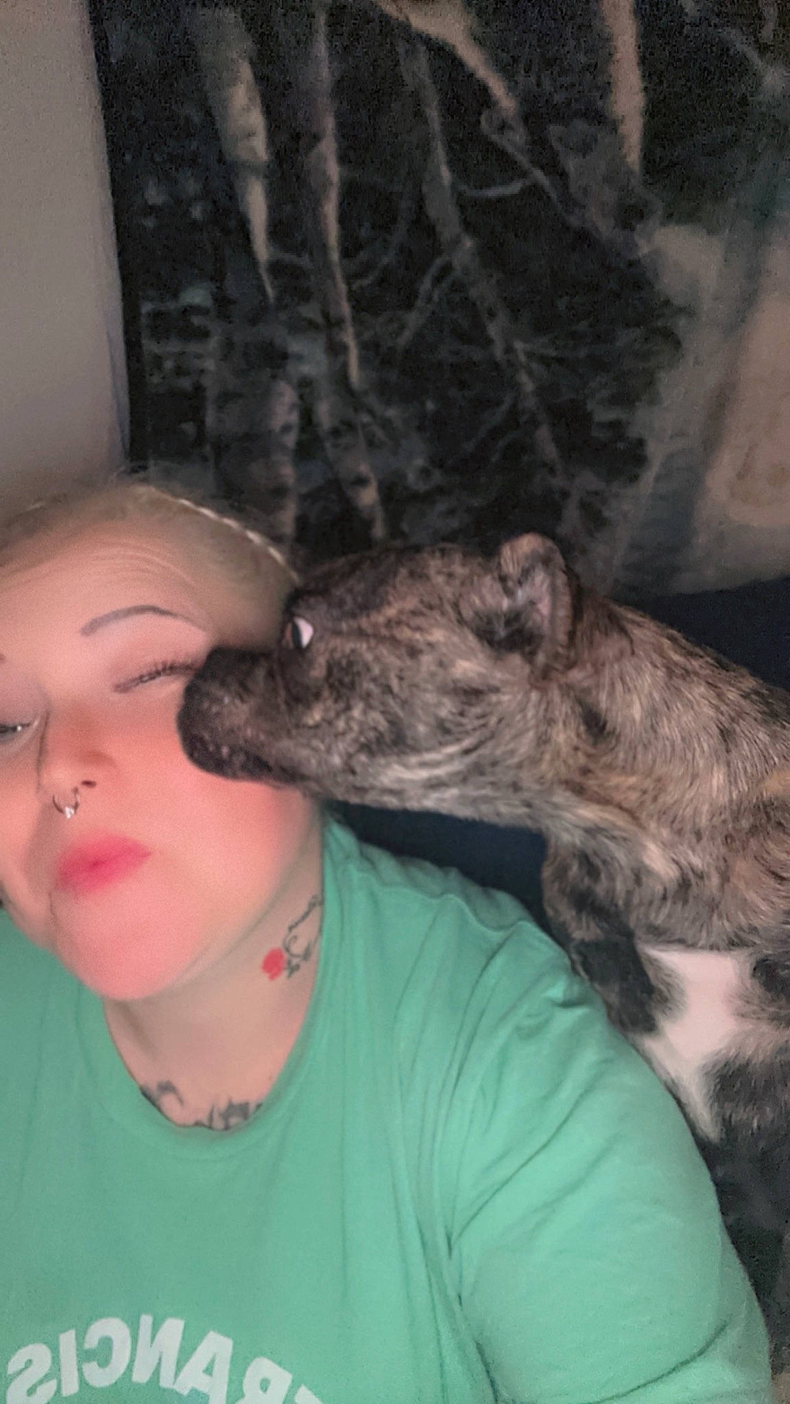 Dahlia joined the competition — help win amazing prizes! canidae, carnivore, companion_dog, dog, dog_breed, ear, eyelash, fawn, flesh, fur, jewellery, non_sporting_group, snout, sporting_group, t_shirt, terrier, whiskers