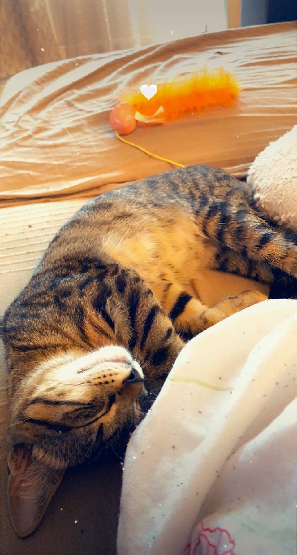 Twix