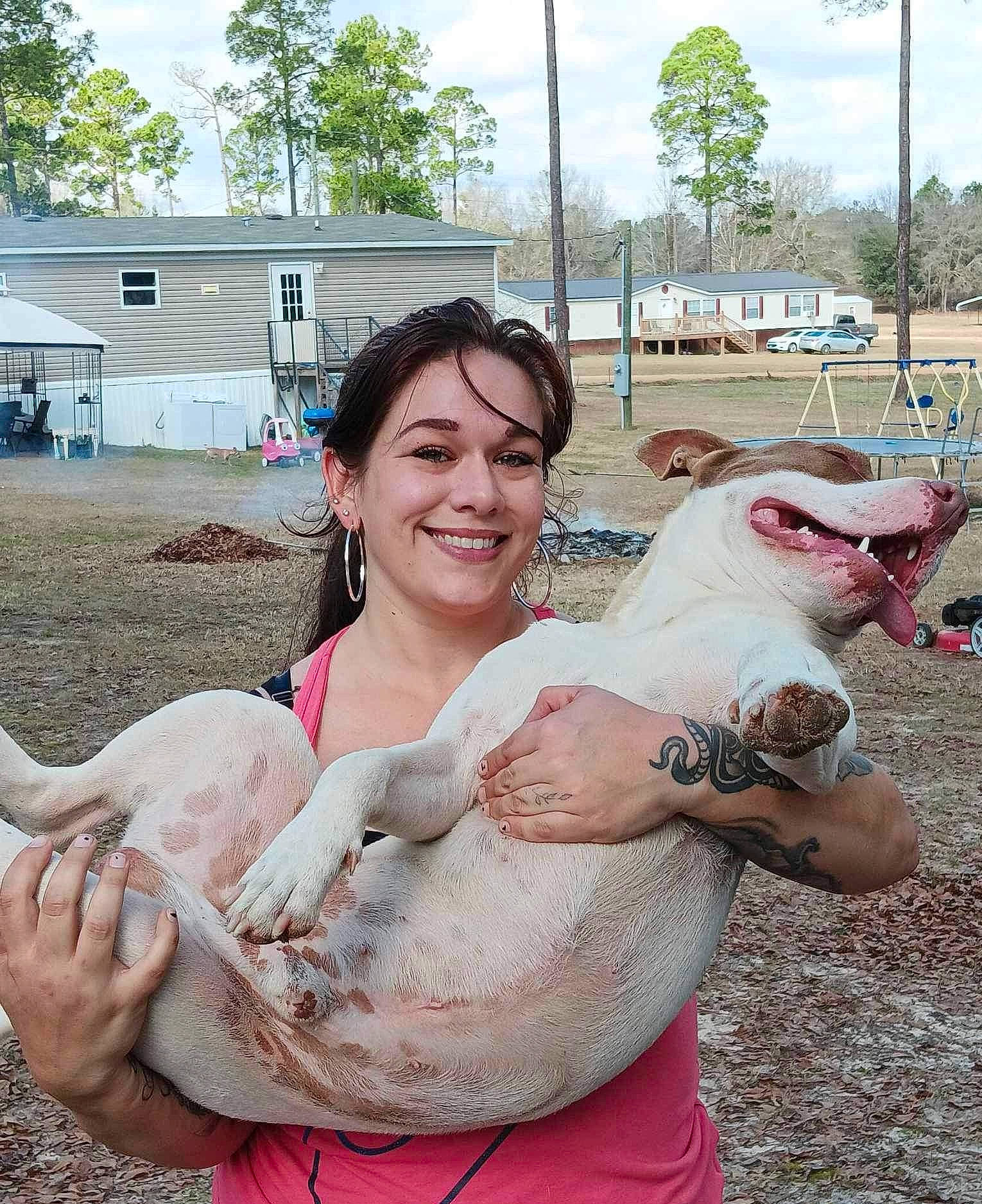 Mr. Beefy joined the competition — help win amazing prizes! abdomen, chest, cloud, event, fawn, flesh, fun, grass, happy, human_leg, landscape, livestock, pink, sitting, sky, smile, soil, thumb, tree, vacation