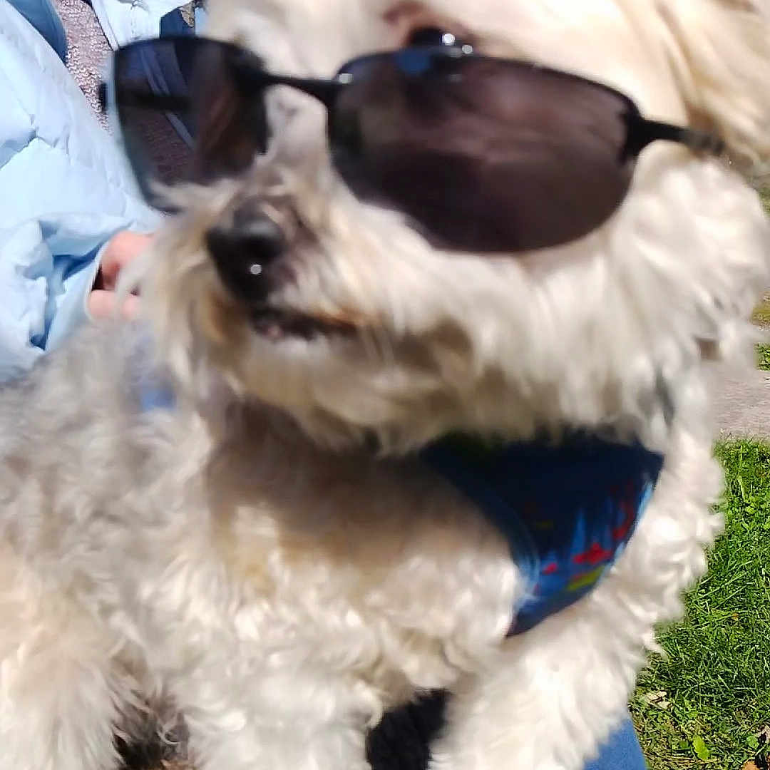 Oliver