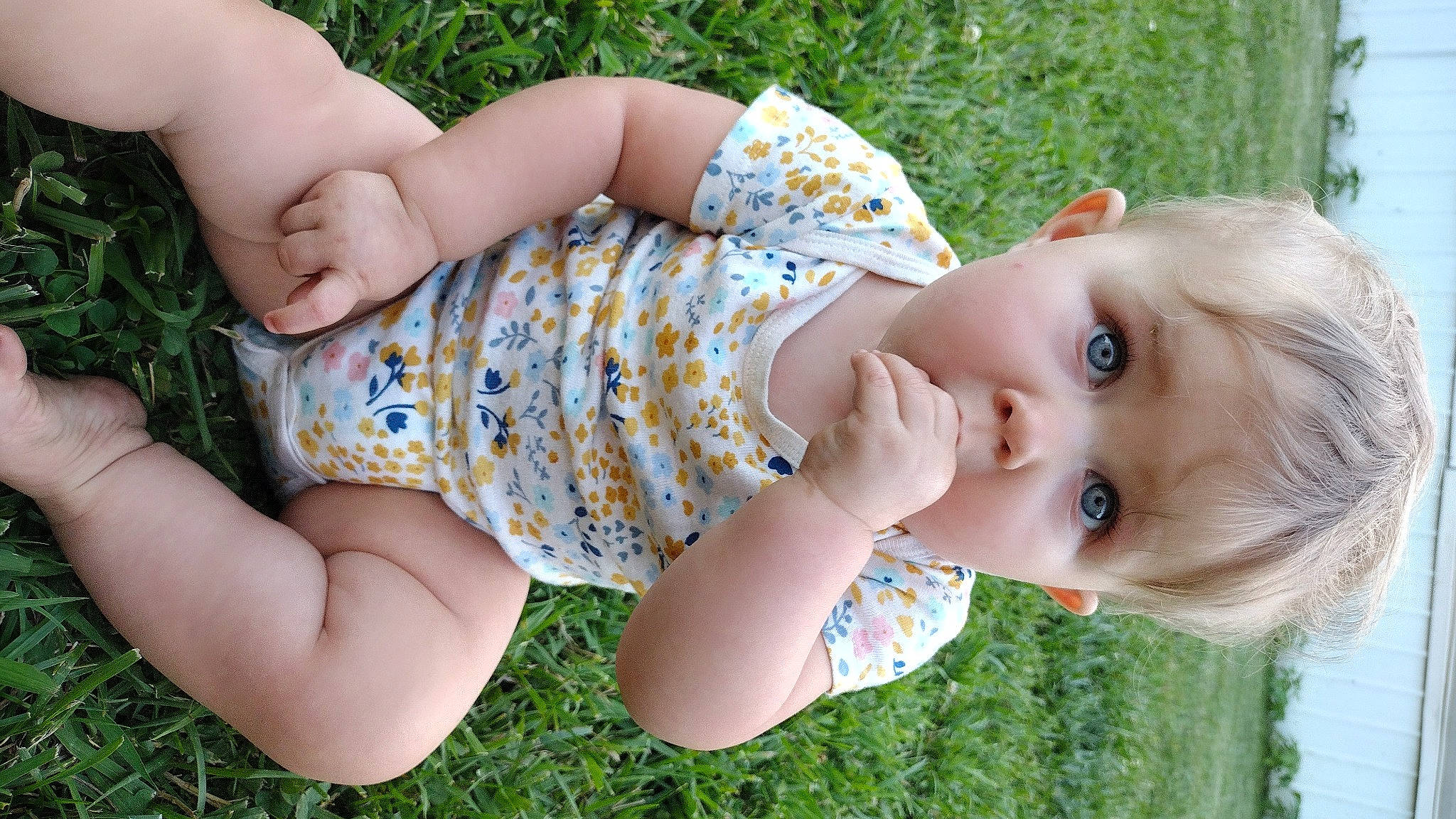 Madalyn joined the competition — help win amazing prizes! baby, baby_toddler_clothing, dress, finger, grass, grass_family, green, hand, happy, human_body, joint, leaf, meadow, people_in_nature, person, plant, skin, sunlight, textile, toddler