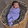 baby, newborn, sleeping, wrapped, blanket, basket, fur, floor, cozy, peaceful, infant, child, indoors, portrait, cute, soft, purple, woven, resting, head