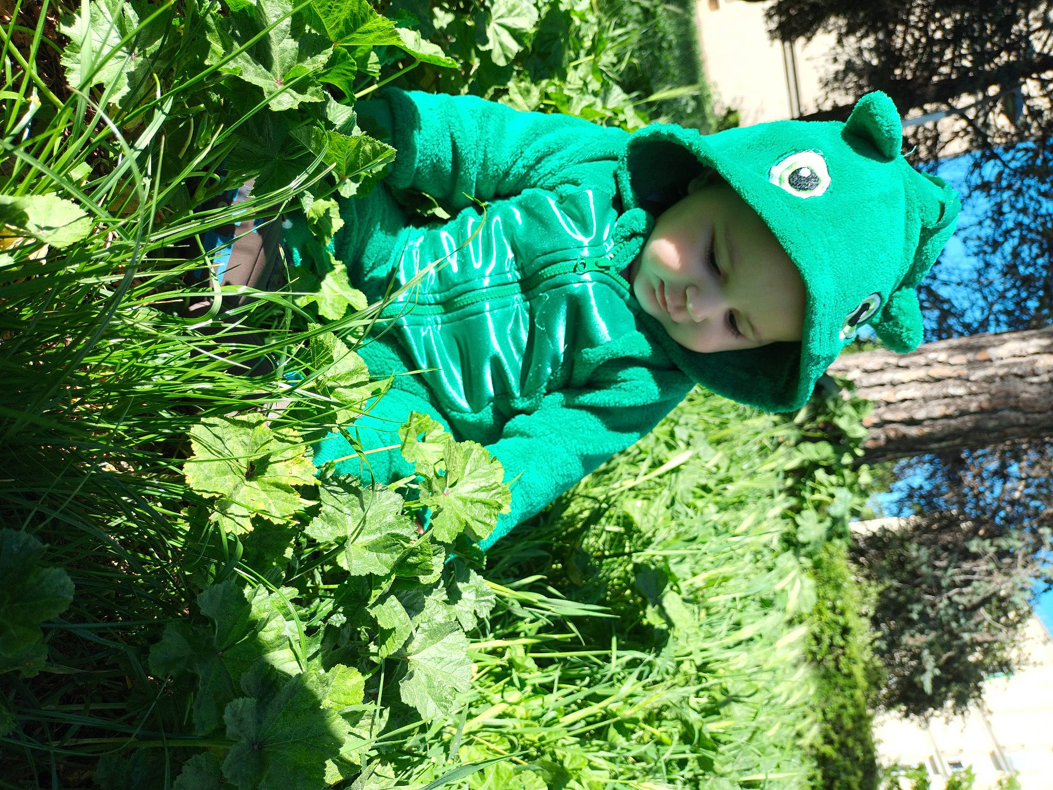 Aron a rejoint le concours — aidez-le/la à gagner de superbes lots ! botany, electric_blue, grass, grass_family, green, groundcover, happy, hat, headwear, jacket, leaf, natural_landscape, people_in_nature, person, plant, shrub, sun_hat, terrestrial_plant, toddler, tree