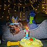 animal, banner, birthday, cake, candle, celebration, chew_toy, cozy, crown, decorations, dinosaur, dog, fairy_lights, indoor, number_1, party, pet_bed, plush_toy, resting, toy