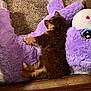 Mocha joined the competition — help win amazing prizes! puppy, dog, sleeping, plush_toy, purple, unicorn, carpet, indoor, cozy, brown, furry, cute, resting, soft, toy, animal, pet, comfort, laying, couch