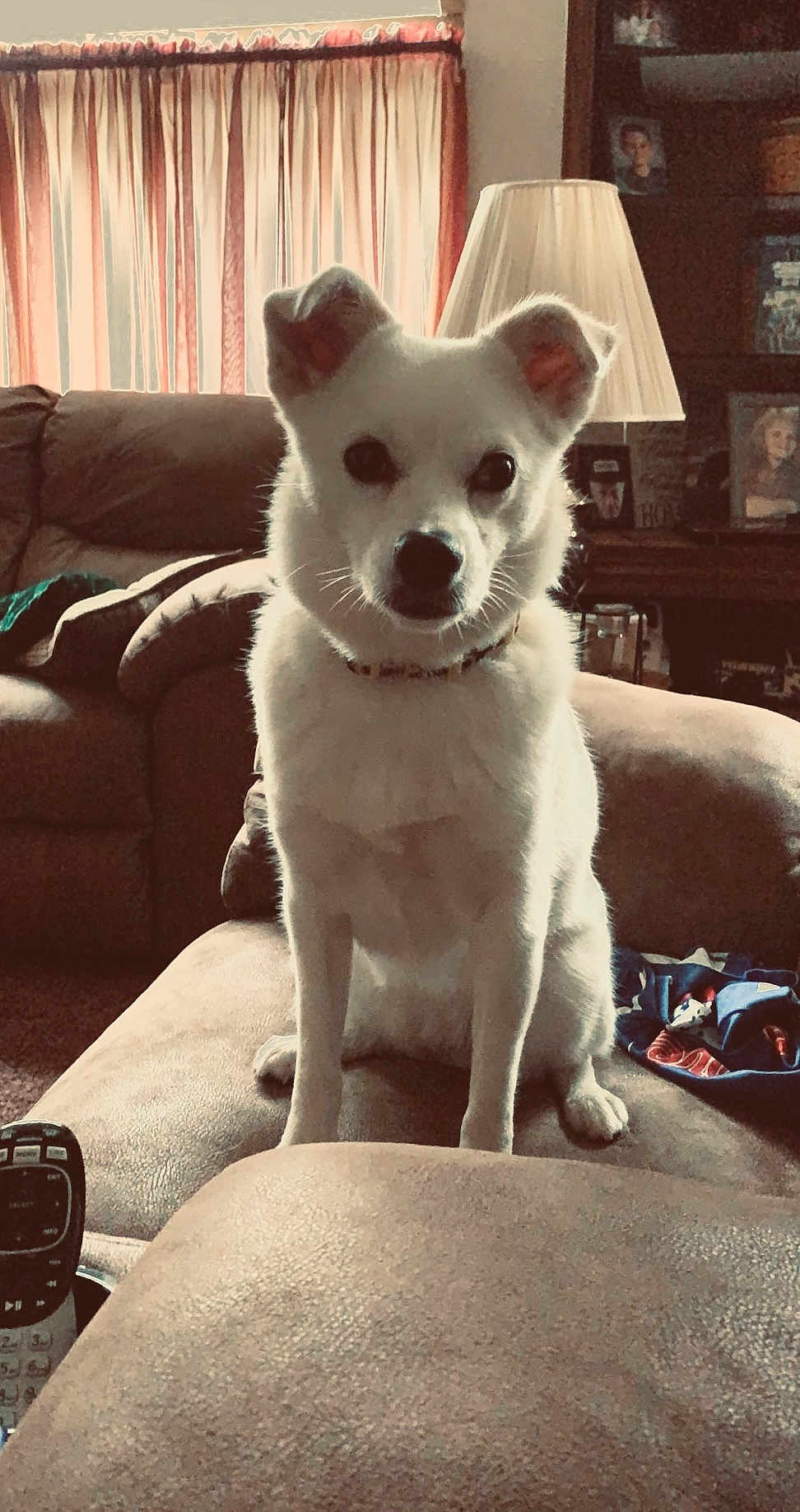 Winnie