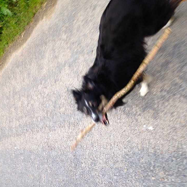 Bella joined the competition — help win amazing prizes!