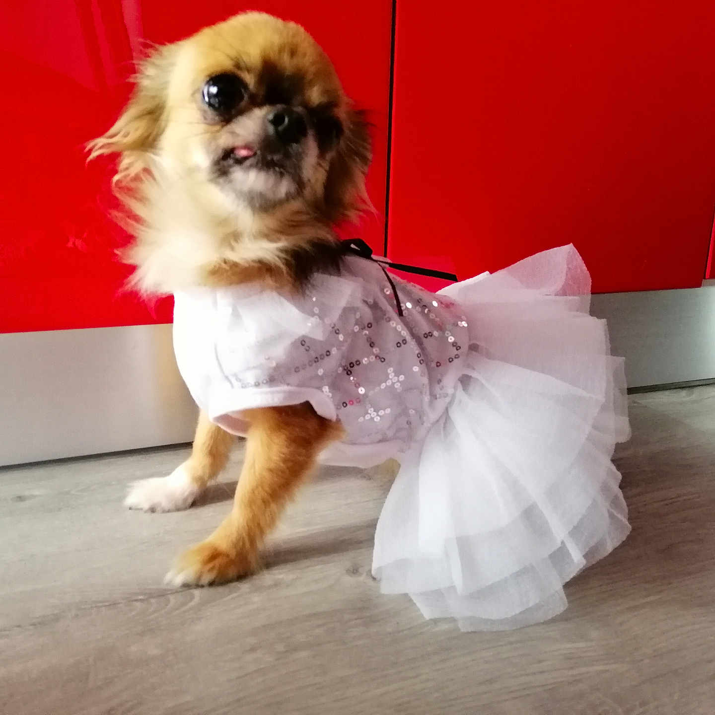 Mimi