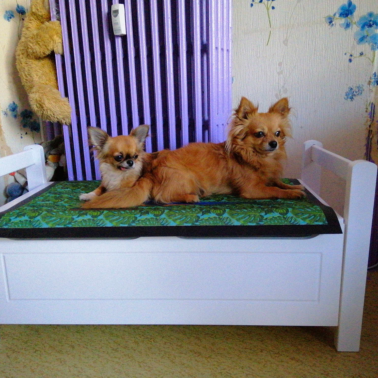 Lucky Et Mouzzy