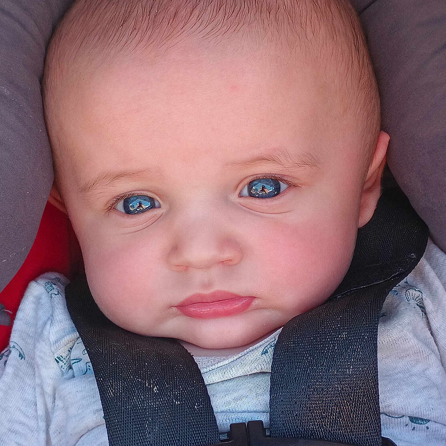 Liam joined the competition — help win amazing prizes! baby, blue_eyes, car_seat, child, close_up, clothing, cute, expression, face, head, infant, person, portrait, safety_harness, seat, seatbelt, serious, skin, straps, young