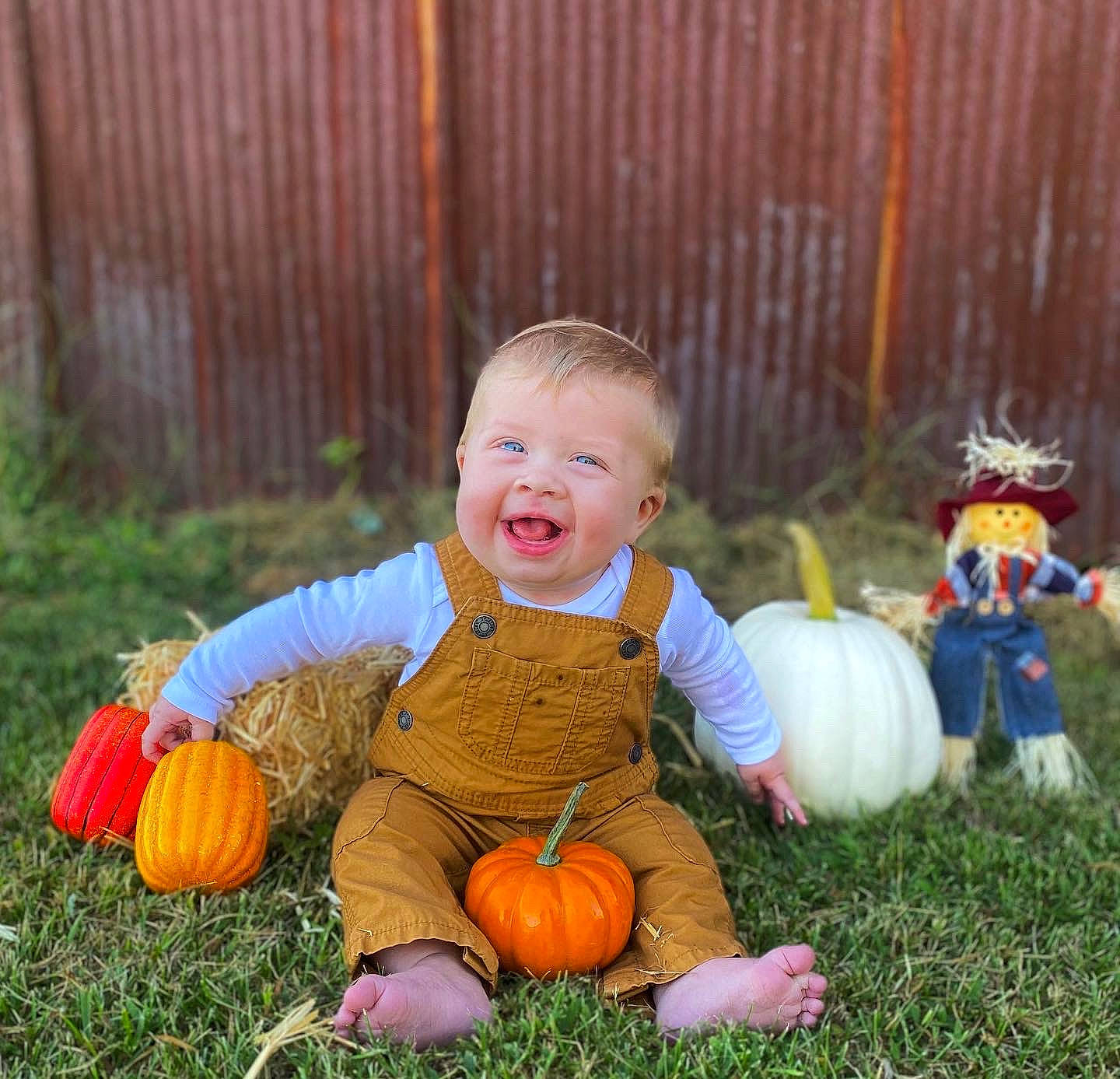 Jaxon joined the competition — help win amazing prizes! calabaza, cucurbita, eye, face, facial_expression, gourd, grass, happy, human_body, mammal, natural_foods, orange, people_in_nature, person, plant, pumpkin, smile, toddler, tree, vertebrate
