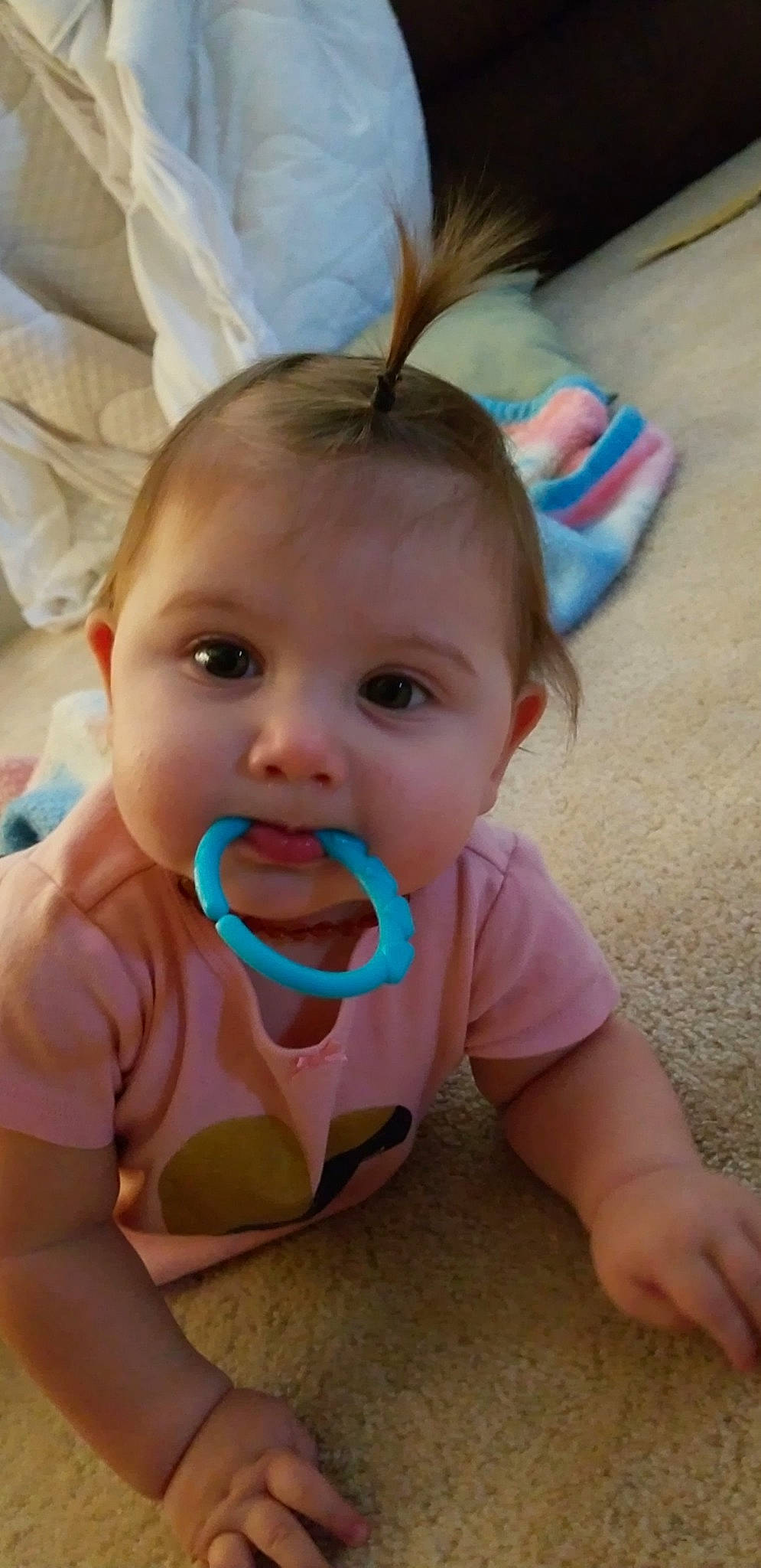 Ripley joined the competition — help win amazing prizes! cheek, child, day, ear, eye, face, finger, fun, girl, hair, hand, head, human_hair_color, infant, iris, mouth, nose, person, skin, smile