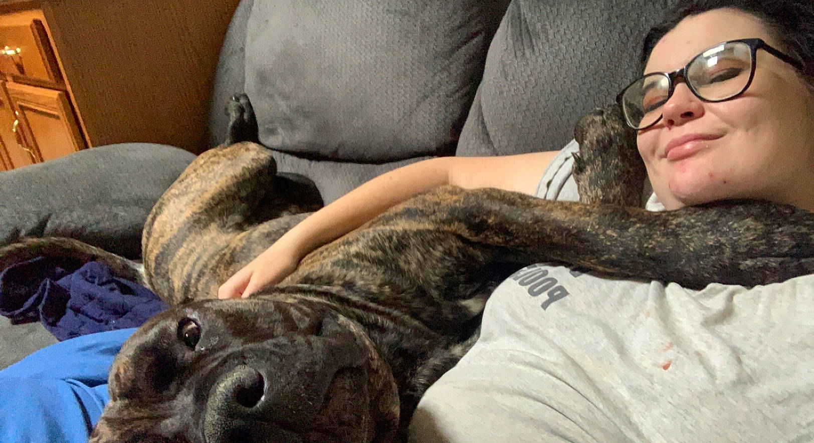 Puff is registered to the contest to win money with this photo: beard, carnivore, comfort, companion_dog, couch, dog, dog_breed, eyewear, fawn, fur, gesture, glasses, human_leg, leg, military_camouflage, smile, sporting_group, thigh, vertebrate, vision_care