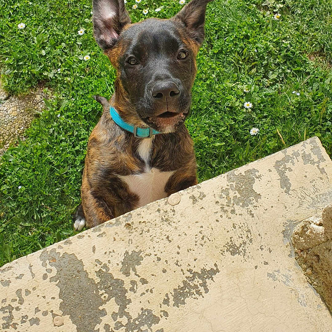 Rio