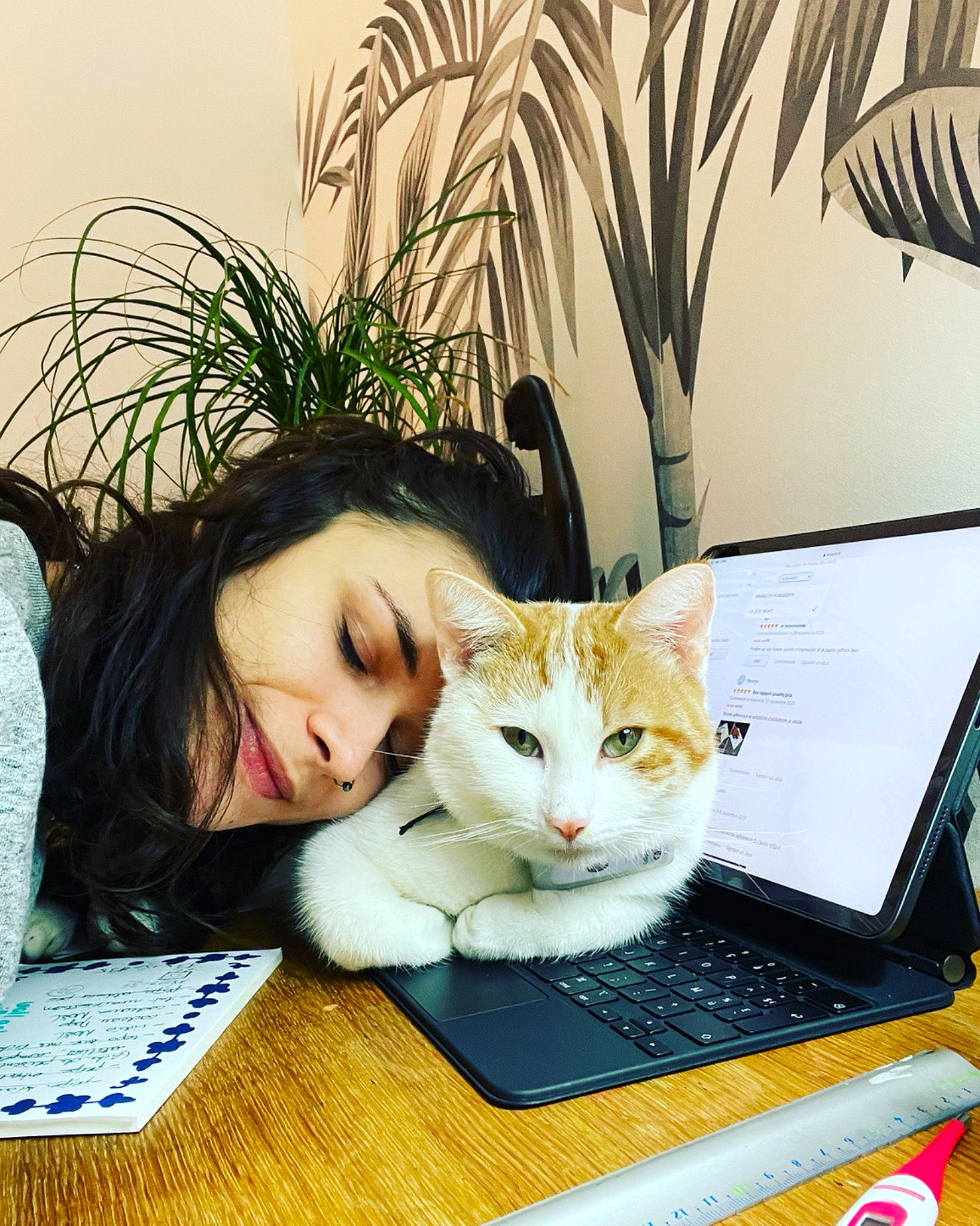 Roger a rejoint le concours — aidez-le/la à gagner de superbes lots ! carnivore, cat, comfort, computer, computer_accessory, computer_hardware, display_device, electronic_device, felidae, input_device, laptop, laptop_accessory, laptop_part, mammal, office_equipment, peripheral, small_to_medium_sized_cats, touchpad, vertebrate, whiskers