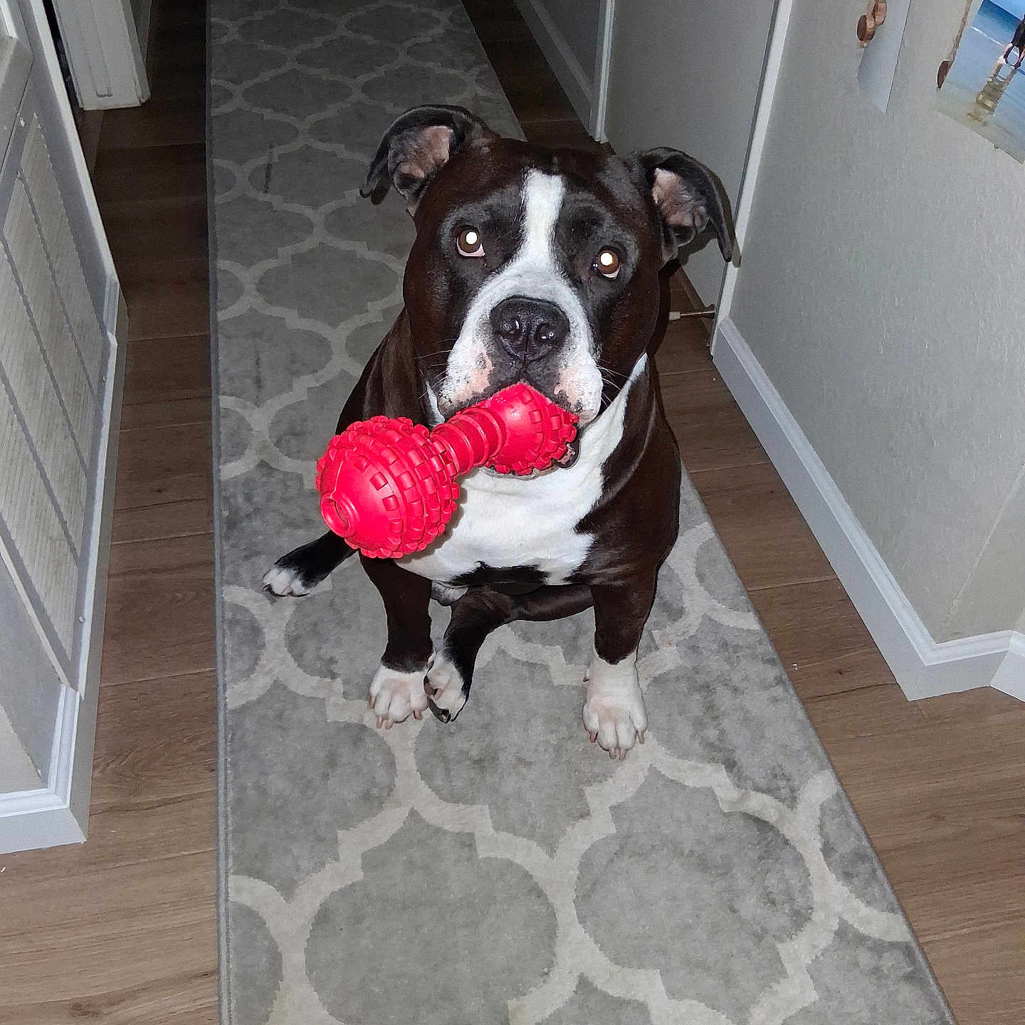 Bowser