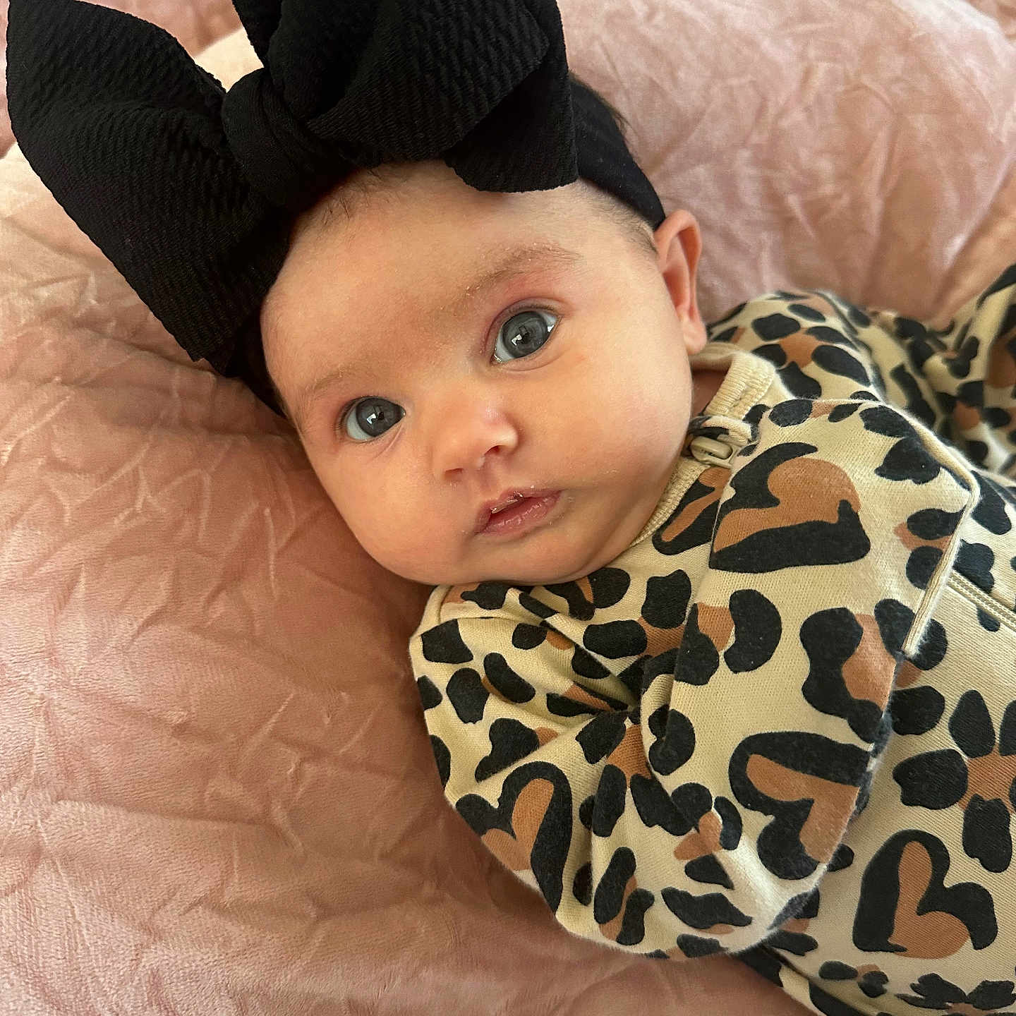 Hartleigh is registered to the contest to win money with this photo: adorable, baby, black_bow, child, clothing, cozy, cute, eyes, face, fashion, headband, indoor, infant, laying_down, leopard_print, onesie, pink_blanket, portrait, soft_texture, young_child