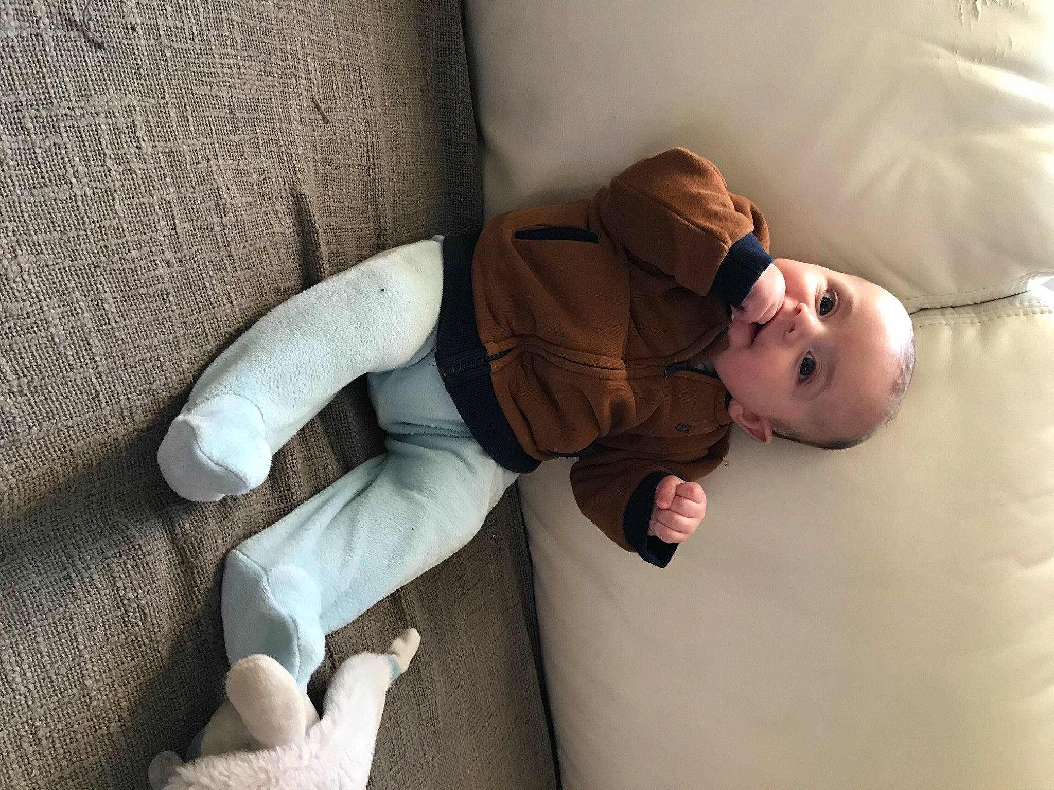 Raphaël participe au concours pour gagner de l'argent avec cette photo : arm, baby, baby_sleeping, baby_toddler_clothing, child, comfort, couch, finger, human_body, human_leg, joint, knee, linens, mammal, person, sitting, skin, sleeve, textile, toddler