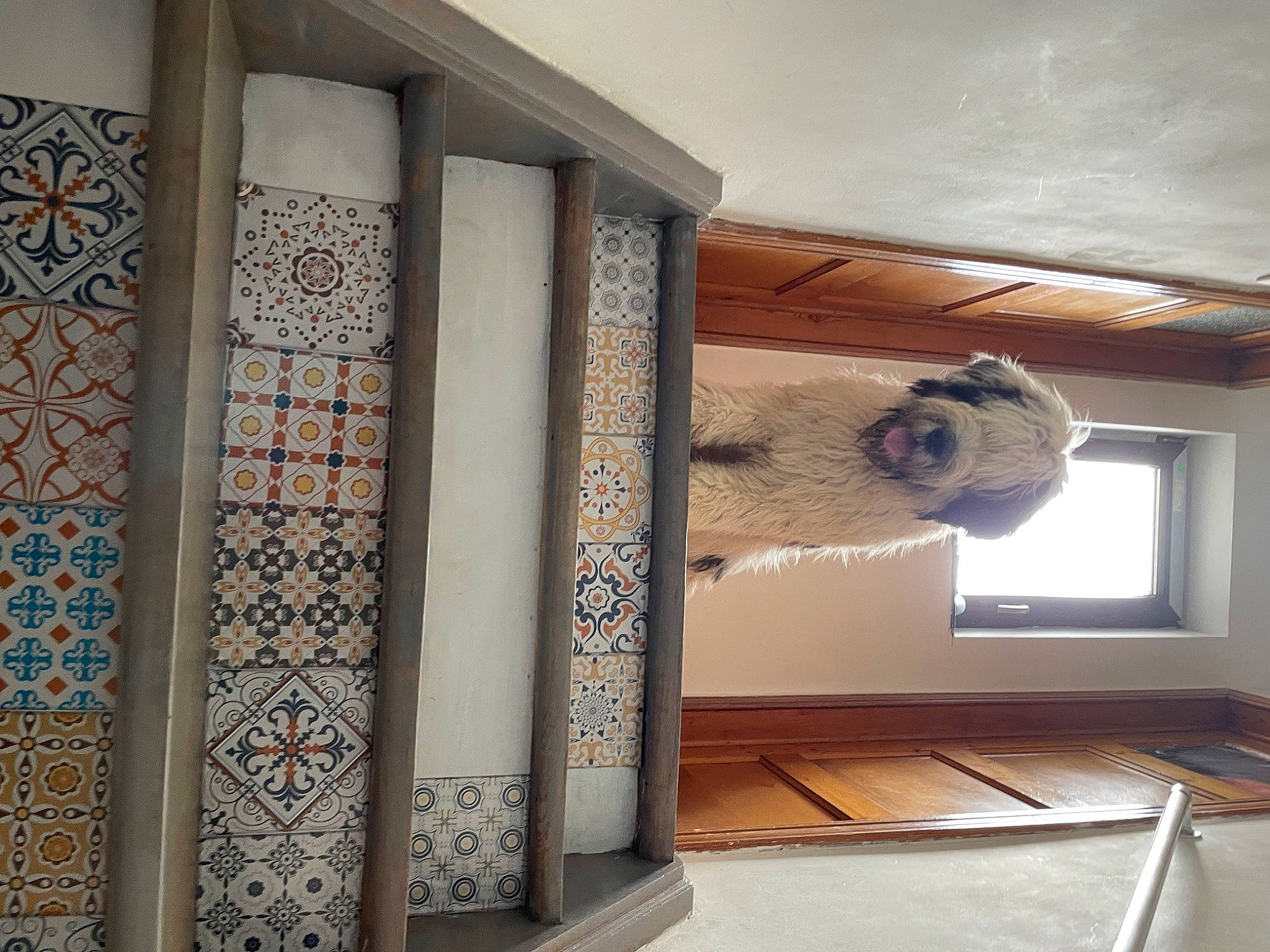 Nor participe au concours pour gagner de l'argent avec cette photo : art, beam, building, ceiling, column, door, floor, flooring, glass, hardwood, house, interior_design, living_room, pattern, plywood, shade, shelving, window, wood, wood_stain