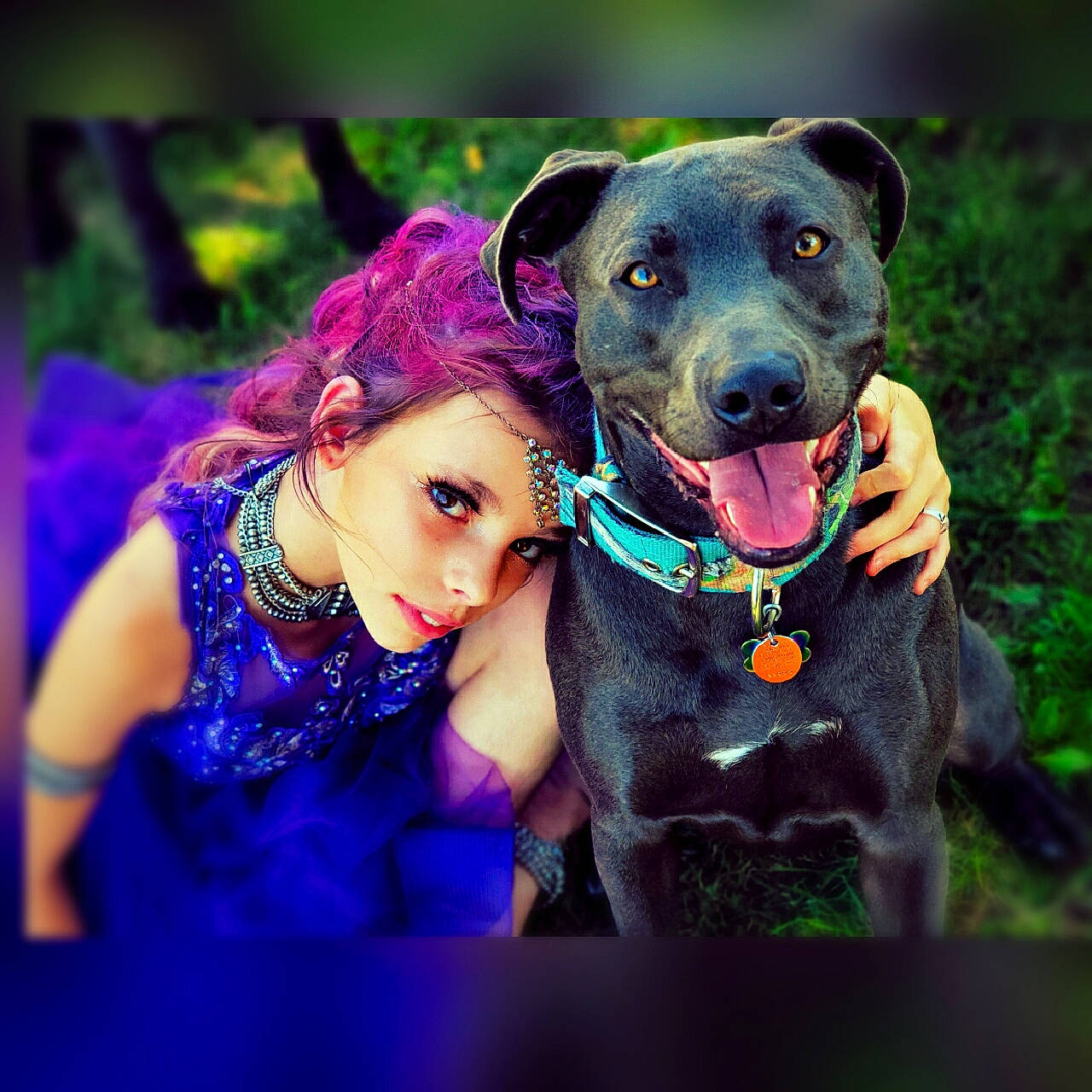 Diesel is registered to the contest to win money with this photo: carnivore, collar, companion_dog, dog, dog_breed, dog_collar, dog_supply, electric_blue, event, eye, fawn, happy, leash, magenta, personal_protective_equipment, pink, purple, snout, sporting_group, working_animal