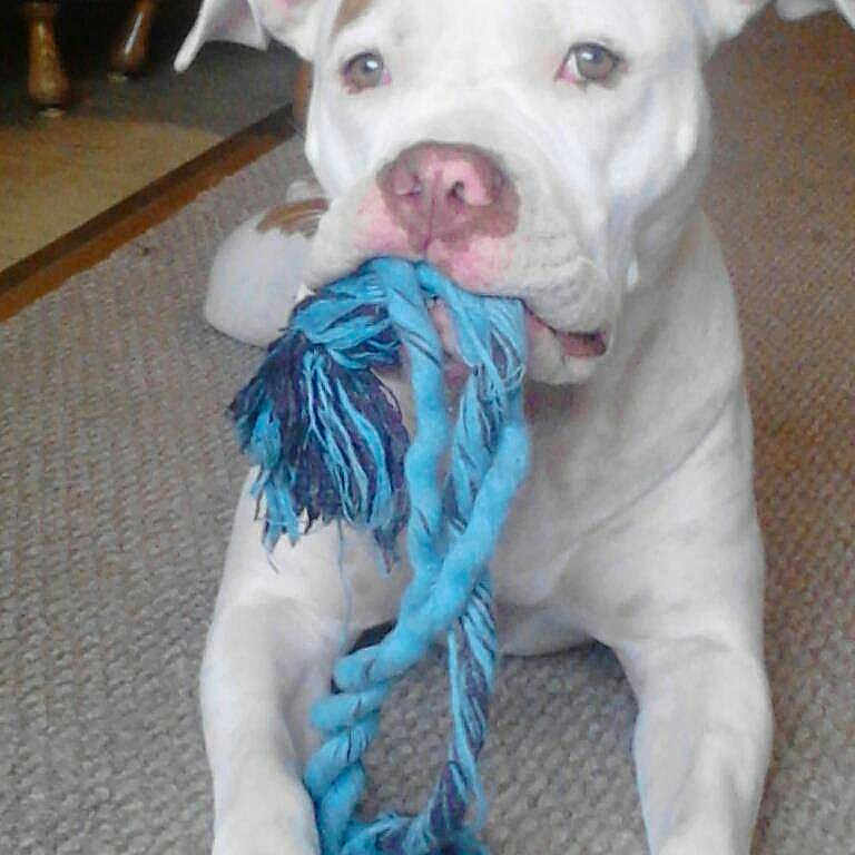 Cleo is registered to the contest to win money with this photo: