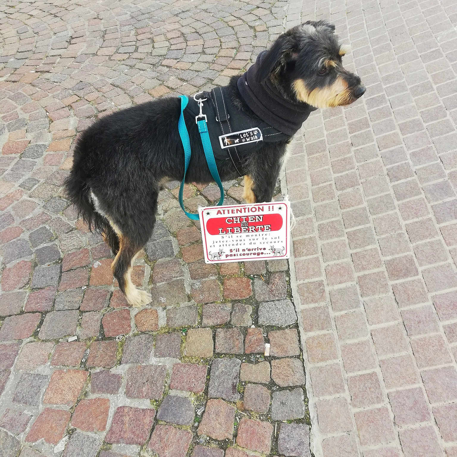 Blako