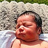 newborn, baby, infant, sleeping, outdoor, sunlight, blanket, soft, skin, peaceful, face, hair, closeup, nature, grass, relaxation, child, portrait, fresh, resting