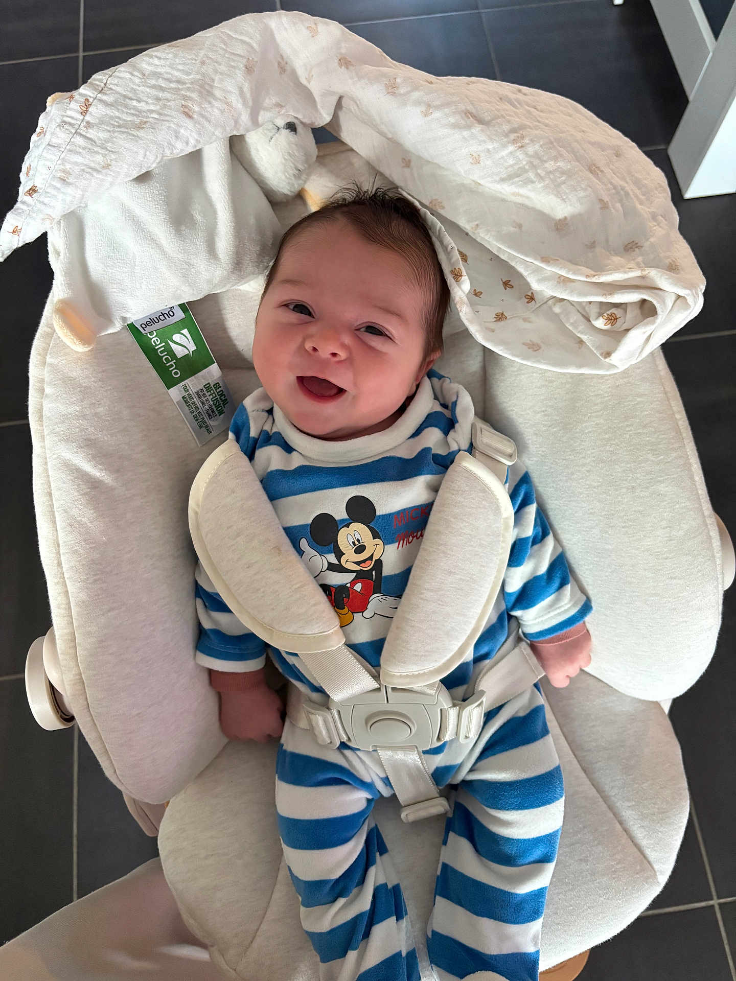 Nino participe au concours pour gagner de l'argent avec cette photo : baby, infant, smiling, mickey_mouse, onesie, harness, baby_bouncer, blanket, plush_toy, head, face, happy, striped_clothing, seatbelt, indoor, floor_tiles, close_up, newborn, cozy, awake