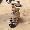 animal, black_nose, chihuahua, cute, dog, ears, fashion, footwear, high_heels, indoors, pet, playful, portrait, puppy, shoes, sitting, small_dog, tan_fur, white_chest, wooden_floor