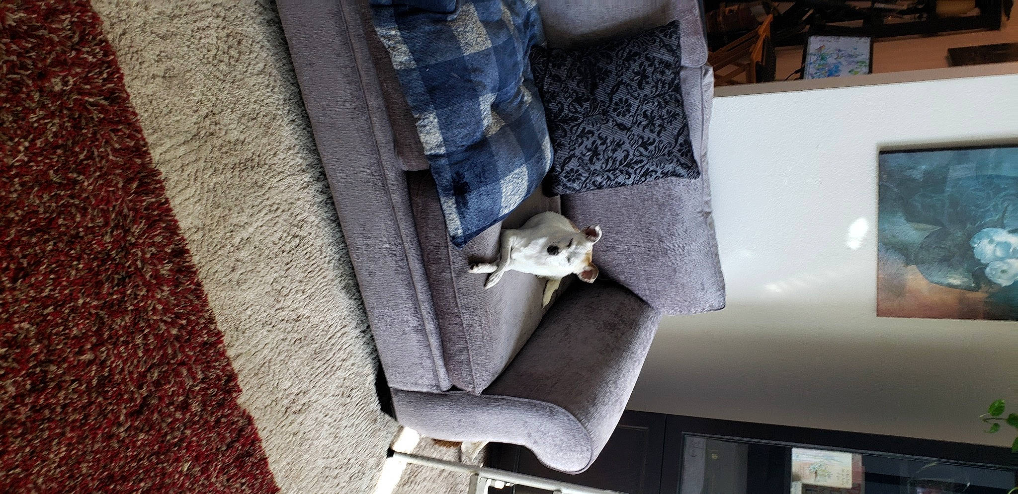 Apple joined the competition — help win amazing prizes! auto_part, automotive_design, automotive_exterior, automotive_tire, automotive_wheel_system, bumper, concrete, denim, door, dress_shirt, grey, human_leg, luxury_vehicle, metal, motor_vehicle, pattern, pipe, room, vehicle_door, wood