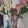 artificial_flowers, cat, curious, decor, face, flowers, glass, green_leaves, indoor, paws, pet, pink_flowers, plant_stems, playful, purple_stones, still_life, tabby_cat, table, vase, white_flowers